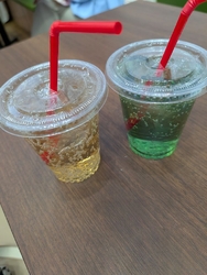 念願のエミナさ...