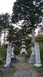 つつじ祭り開催...