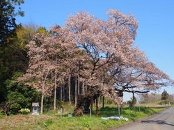 丁度通り道でも...