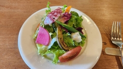 ランチで伺いま...