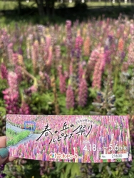 この時期ならで...