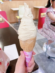 遠出した時に必...