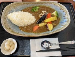 彩り野菜のカレ...