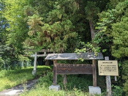 磯川緑地公園か...