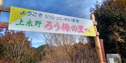 良い香りです！...