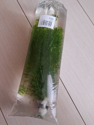 毎週のように我...