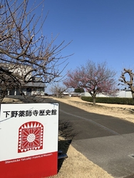 「下野薬師寺跡...