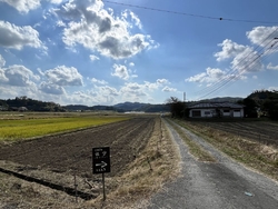 田園に佇むカフ...