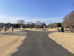 散歩に十分すぎ...