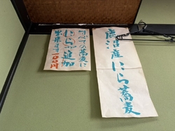 玉丼セット（8...