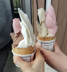 気になっていた...