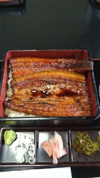 鰻の成瀬が初め...