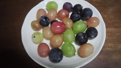 お皿に乗ったカ...