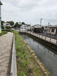 県庁掘に大きな...