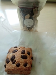 初訪問。チョコ...