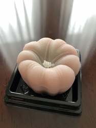 宇都宮パセオの...