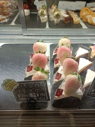 アグリパル塩原...