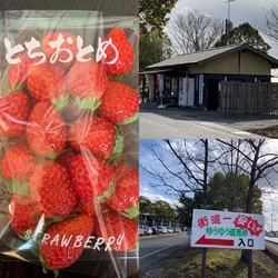 比較的小規模の...