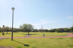 こちらの公園に...