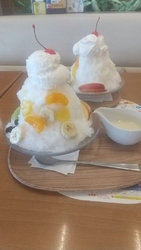 暑くてバテそう...