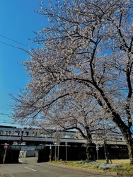 通勤途中に寄り...