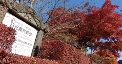 紅葉がキレイだ...