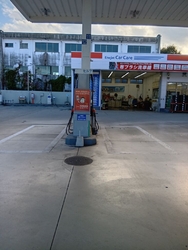 株式会社シンエ...