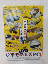 ３月１０日から...