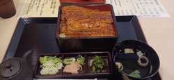 SNSで見て知...