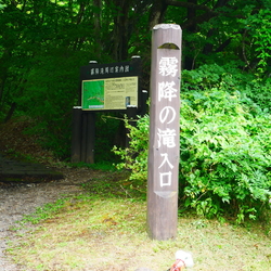 霧降の滝を見に...