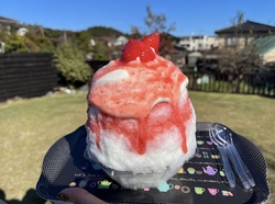 前回からまだ1...