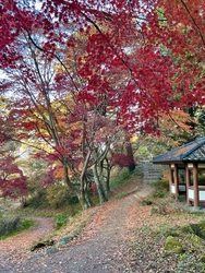 大分、寒くなり...