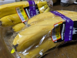 今日はチラシで...