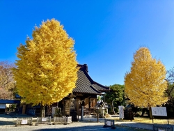 今月は、まだ参...