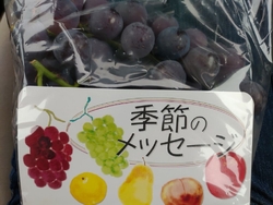 先日購入した益...