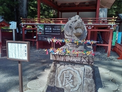 今年になってか...
