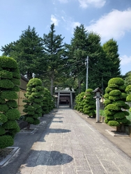 近くに来たので...