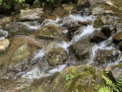 出流ふれあいの...