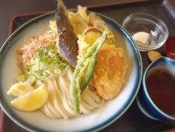 「うどんが食べ...