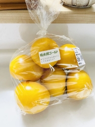県南からの帰り...