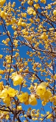 今日は、1月1...