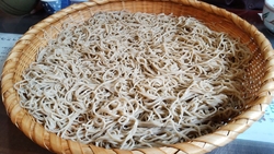 両親を連れて、...