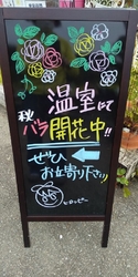 ヒロガーデンさ...