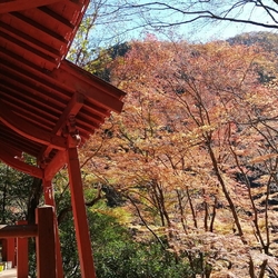 紅葉の名所と紹...