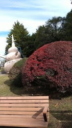 確実に秋が深ま...