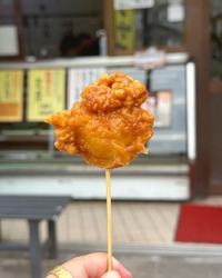 東照宮からの帰...