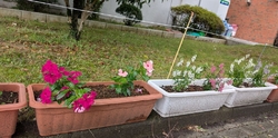 予約していた本...
