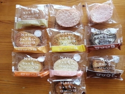 何度も訪れてい...