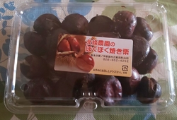栗販売のご案内...