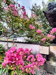 平将門伝説にま...